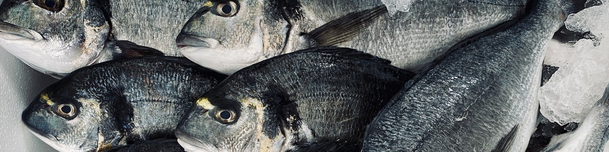 CMS,免費(fèi)CMS,免費(fèi)開(kāi)源Java CMS,CMS系統(tǒng),Java CMS,CMS內(nèi)容管理系統(tǒng),企業(yè)CMS,HTML網(wǎng)頁(yè)模板,CMS模板,CMS源碼,網(wǎng)站源碼,信創(chuàng)系統(tǒng)軟件,安可系統(tǒng),網(wǎng)站建設(shè),模板網(wǎng)站,建站模板,建站工具,建站平臺(tái),建站工具