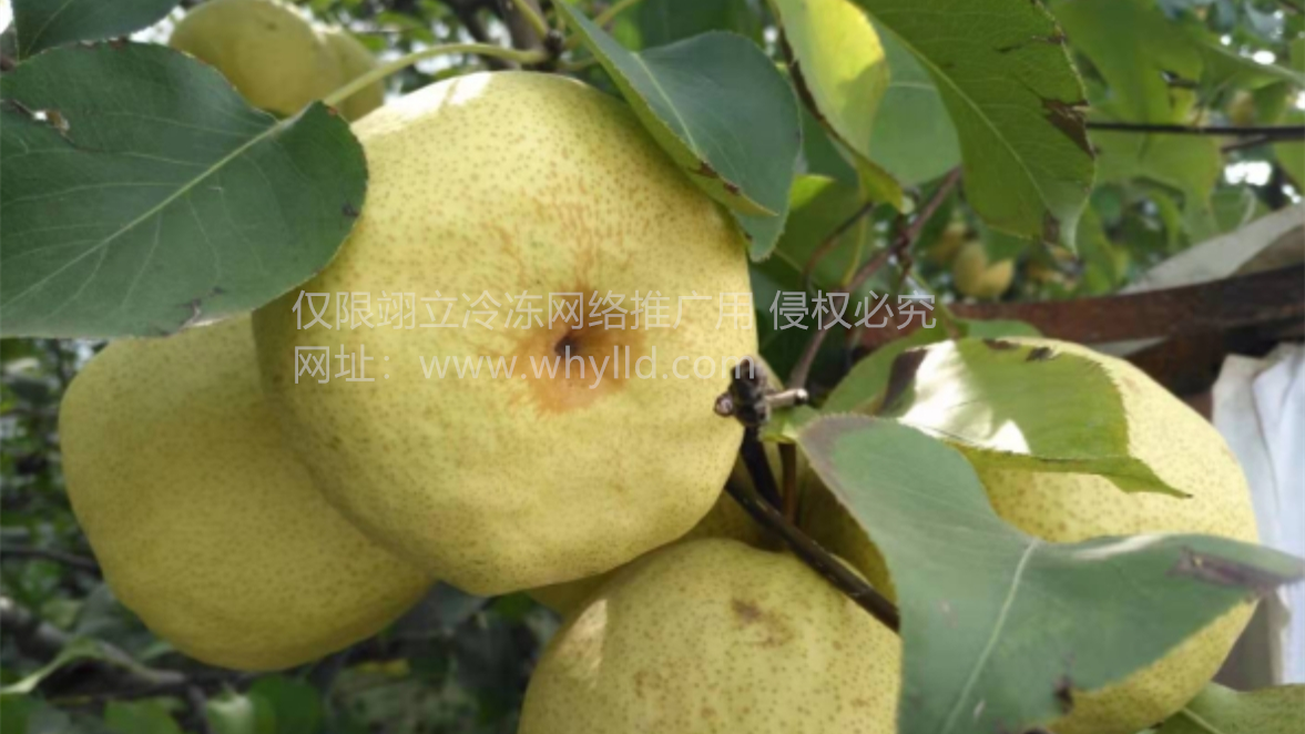 1709509465103.png 微信截圖_20240304073838.png